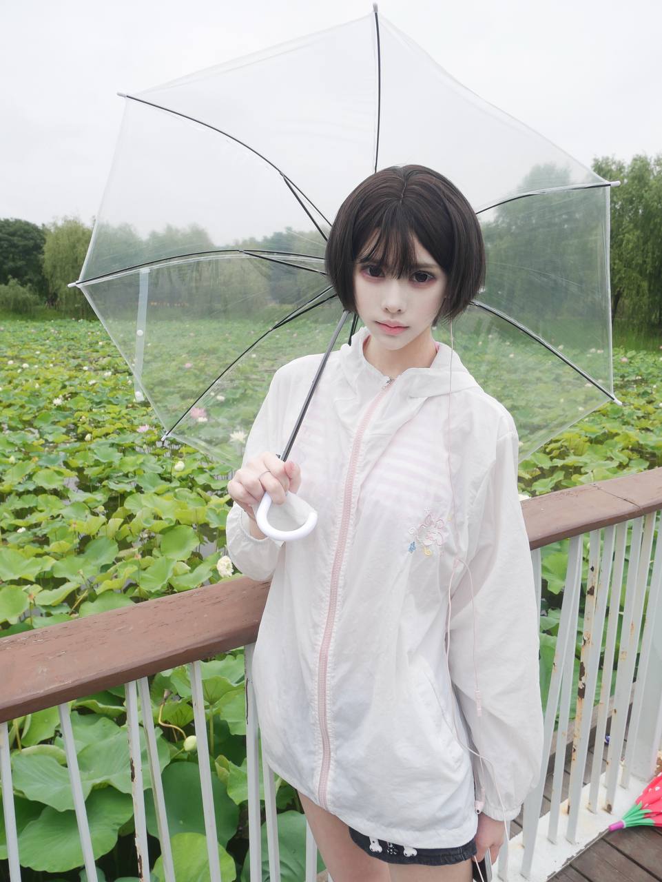 洛洛